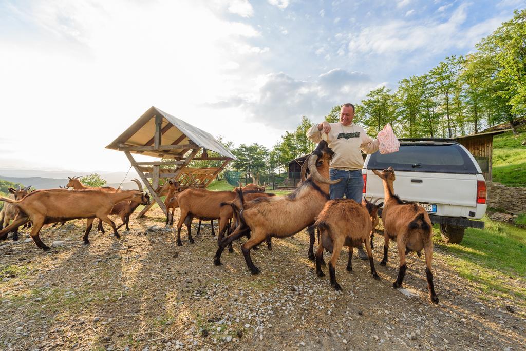 לונדה Agriturismo Casapasserini מראה חיצוני תמונה