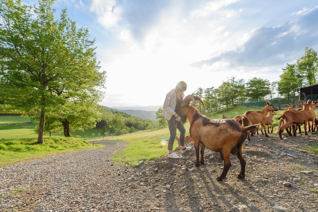 לונדה Agriturismo Casapasserini מראה חיצוני תמונה